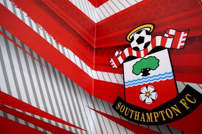 Serbian tycoon buys Southampton for 120 million euros