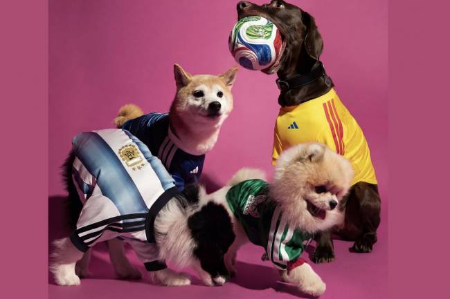 Pets experience the 2026 World Cup with Adidas