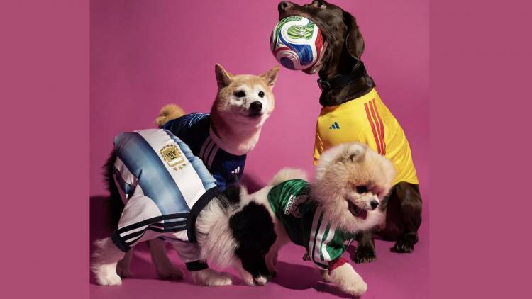 Pets experience the 2026 World Cup with Adidas